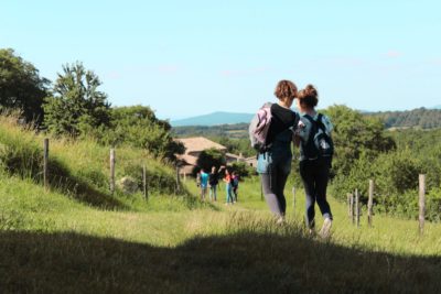 Chemin des amanins