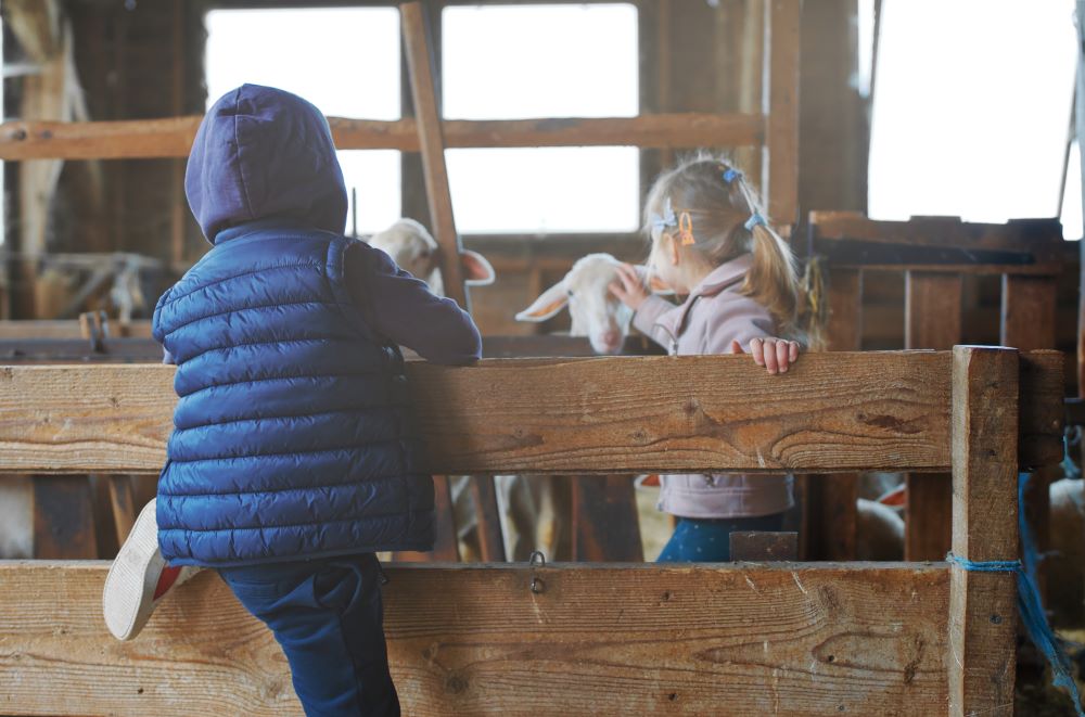 Les Amanins - Classes découvertes bergerie