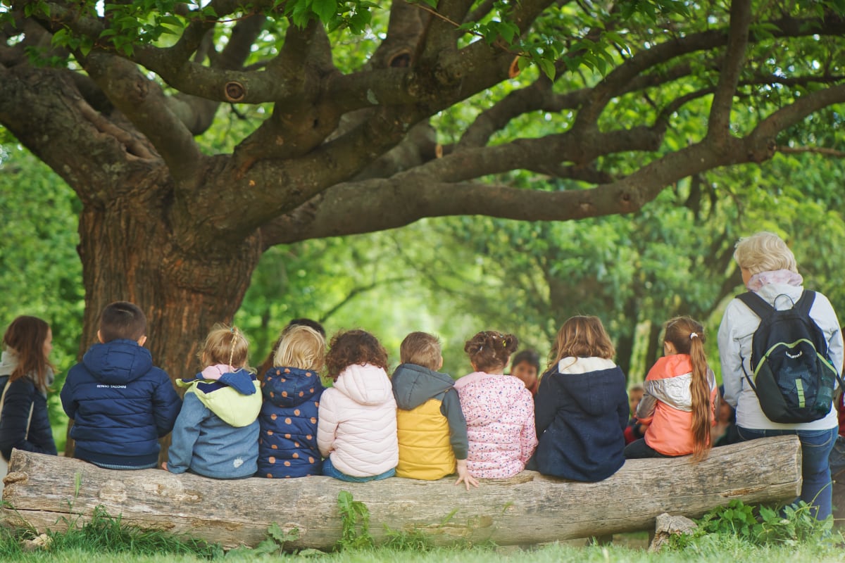 Les Amanins - Classes découvertes - enfants au pied de l'arbre