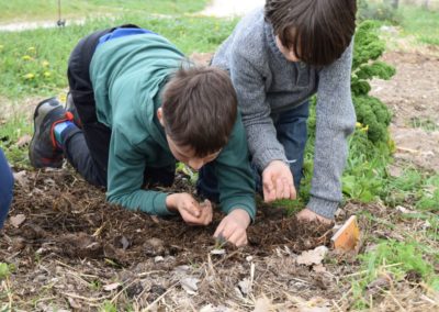 Les Amanins - Classes découvertes animation jardin pédagogique