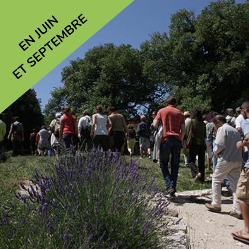 Visite du centre agroécologique Les Amanins