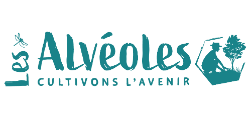 Les alvéoles