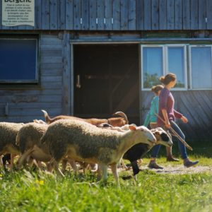 Les Amanins - Séjour - Bergerie
