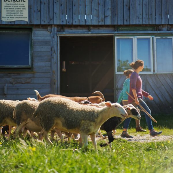 Les Amanins - Séjour - Bergerie