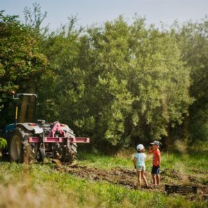 Les Amanins - Séjour - Tracteur et enfants