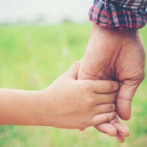 Formation Les bases de la CNV au service de l'éducation aux Amanins