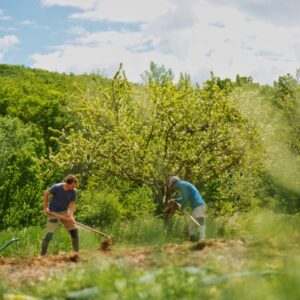 Vacances Printemps paysan - Au potager