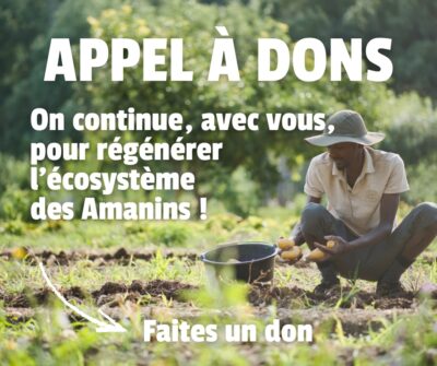 Appel à dons 2025