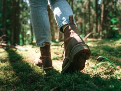 Marche en forêt
