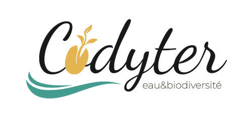 logo-codyter