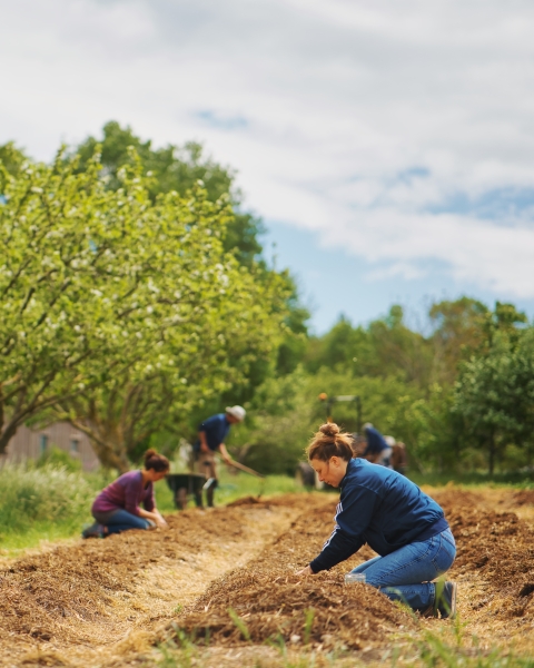 Travail aux jardins des Amanins
