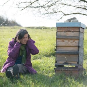Stage apiculture sensible